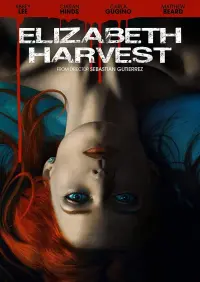 Poster to the movie "Elizabeth Harvest" #296537