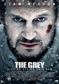 Poster to the movie "The Grey" #279105