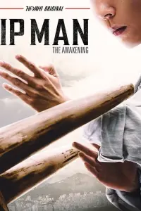 Poster to the movie "Ip Man: The Awakening" #40072