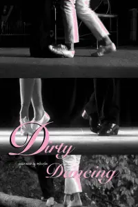 Poster to the movie "Dirty Dancing" #374100