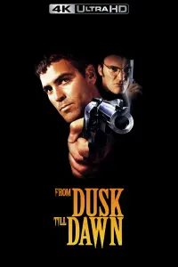 Poster to the movie "From Dusk Till Dawn" #69482