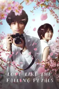 Poster to the movie "Love Like the Falling Petals" #135887