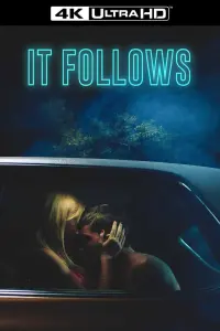 Poster to the movie "It Follows" #39332