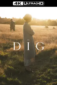 Poster to the movie "The Dig" #255728