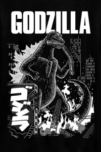 Poster to the movie "Godzilla" #205787