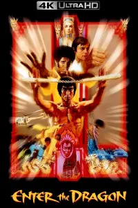 Poster to the movie "Enter the Dragon" #66006