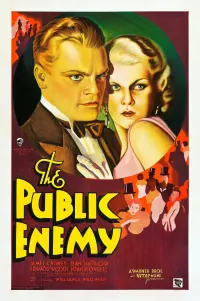 Poster to the movie "The Public Enemy" #230692