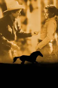 Poster to the movie "The Horse Whisperer" #455278