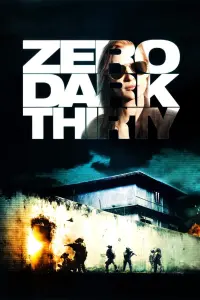 Poster to the movie "Zero Dark Thirty" #248583