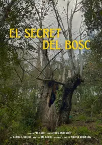 Poster to the movie "El Secret del Bosc" #621698