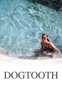 Poster to the movie "Dogtooth" #96322