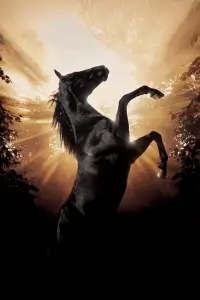 Poster to the movie "Black Beauty" #267590