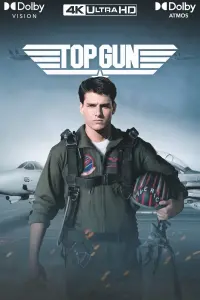 Poster to the movie "Top Gun" #243261