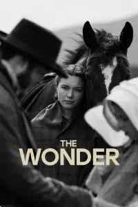 Poster to the movie "The Wonder" #273583