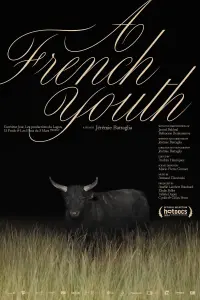 Poster to the movie "A French Youth" #606547