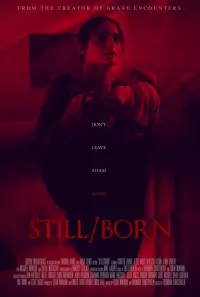 Poster to the movie "Still/Born" #486731