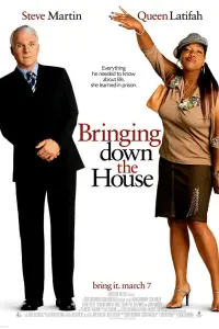 Poster to the movie "Bringing Down the House" #131018