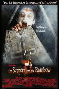 Poster to the movie "The Serpent and the Rainbow" #111950