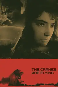 Poster to the movie "The Cranes Are Flying" #181580