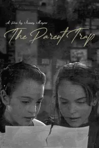 Poster to the movie "The Parent Trap" #488372