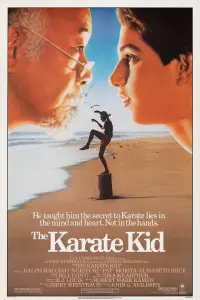 Poster to the movie "The Karate Kid" #60695