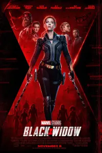 Poster to the movie "Black Widow" #23560