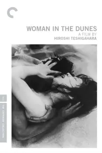 Poster to the movie "Woman in the Dunes" #572122