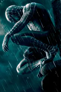 Poster to the movie "Spider-Man 3" #172664