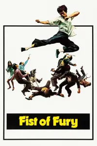 Poster to the movie "Fist of Fury" #228512