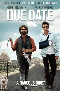 Poster to the movie "Due Date" #85144