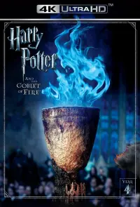 Poster to the movie "Harry Potter and the Goblet of Fire" #7817