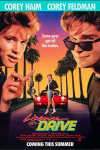 Poster to the movie "License to Drive" #146597