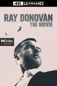 Poster to the movie "Ray Donovan: The Movie" #125589