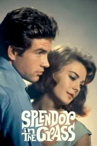 Poster to the movie "Splendor in the Grass" #592015