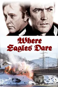 Poster to the movie "Where Eagles Dare" #207376