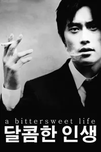 Poster to the movie "A Bittersweet Life" #117277