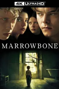 Poster to the movie "Marrowbone" #99792