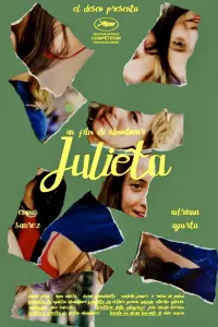 Poster to the movie "Julieta" #638817