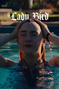 Poster to the movie "Lady Bird" #633010