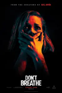 Poster to the movie "Don