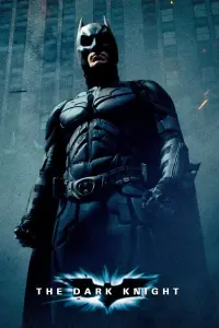 Poster to the movie "The Dark Knight" #13540