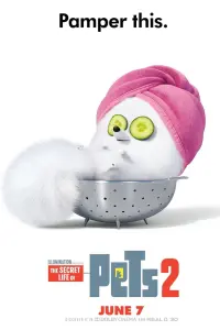 Poster to the movie "The Secret Life of Pets 2" #32685