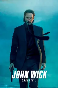 Poster to the movie "John Wick" #51577