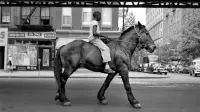 Backdrop to the movie "Finding Vivian Maier" #537642