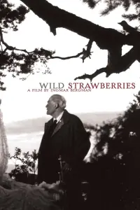 Poster to the movie "Wild Strawberries" #177623