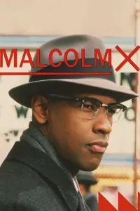 Poster to the movie "Malcolm X" #112570