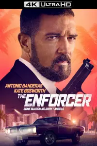 Poster to the movie "The Enforcer" #242228