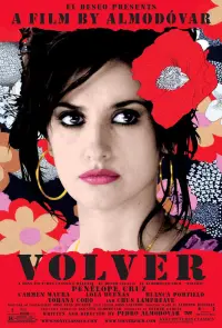 Poster to the movie "Volver" #213504