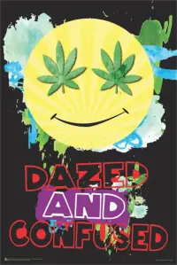 Poster to the movie "Dazed and Confused" #91176