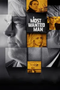 Poster to the movie "A Most Wanted Man" #137704